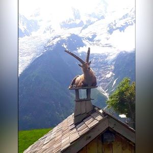 Meet your Posher, Nancy